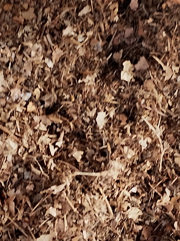 mulch