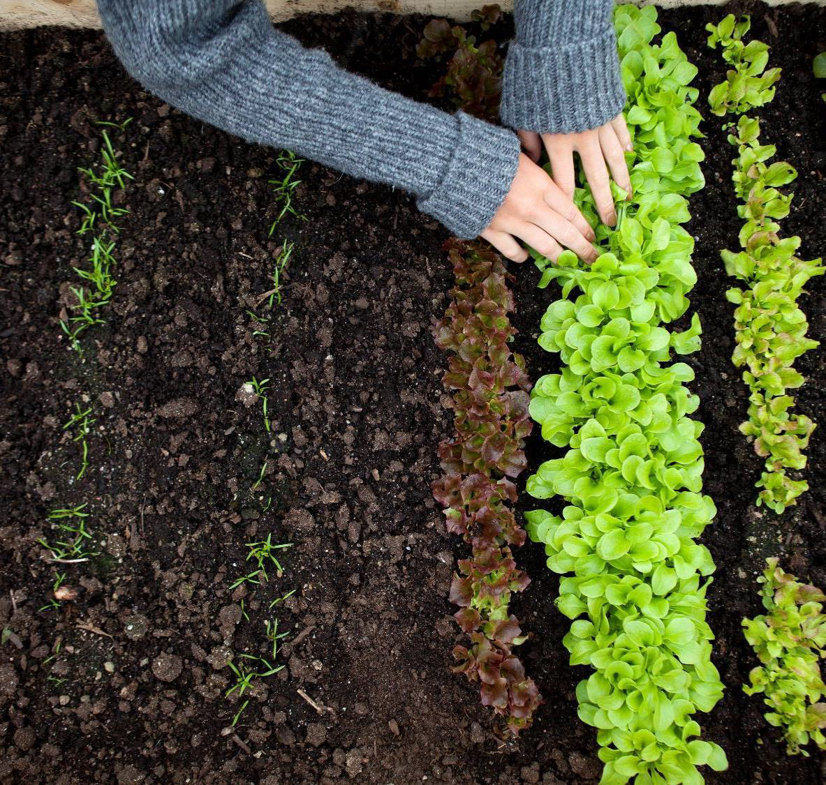 PowerPoint Presentation