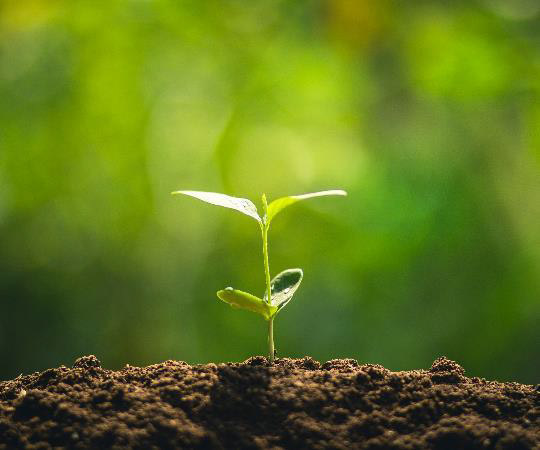 PowerPoint Presentation